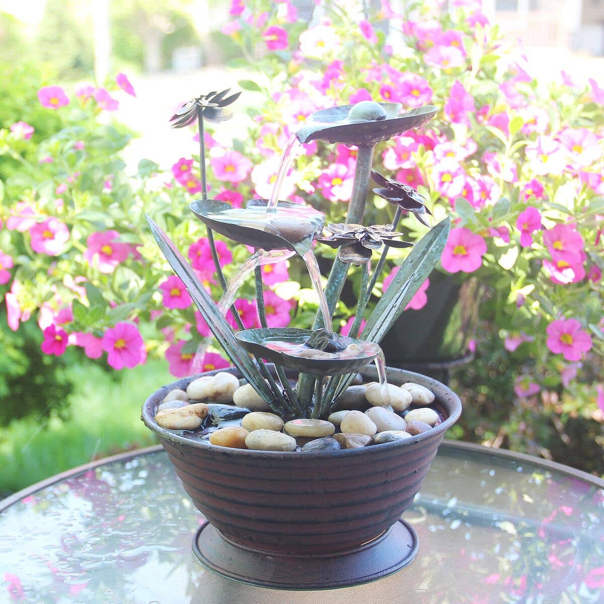 lily pad indoor plant Foreside Home & Garden